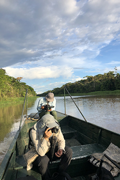 As you travel along the Yarapa River, you’ll spot pink river dolphins and caimans swimming through the waters, while monkeys and extraordinary birds move through the canopy overhead.