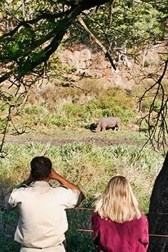 Two Earthwatch particpants looking a white rhino from a distance