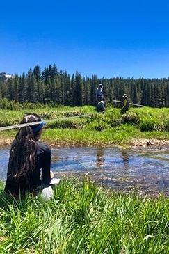 Earthwatch Project Restoring Sierra Meadows: The Source of California's Water