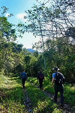 Earthwatch Participants hike through the forest to the research site (C) Mary Rowe