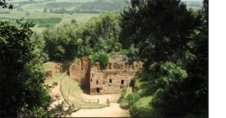 Earthwatch Expedition: Unearthing Ancient History in Tuscany