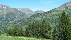 Earthwatch Expedition: Wildlife in the Changing Andorran Pyrenees