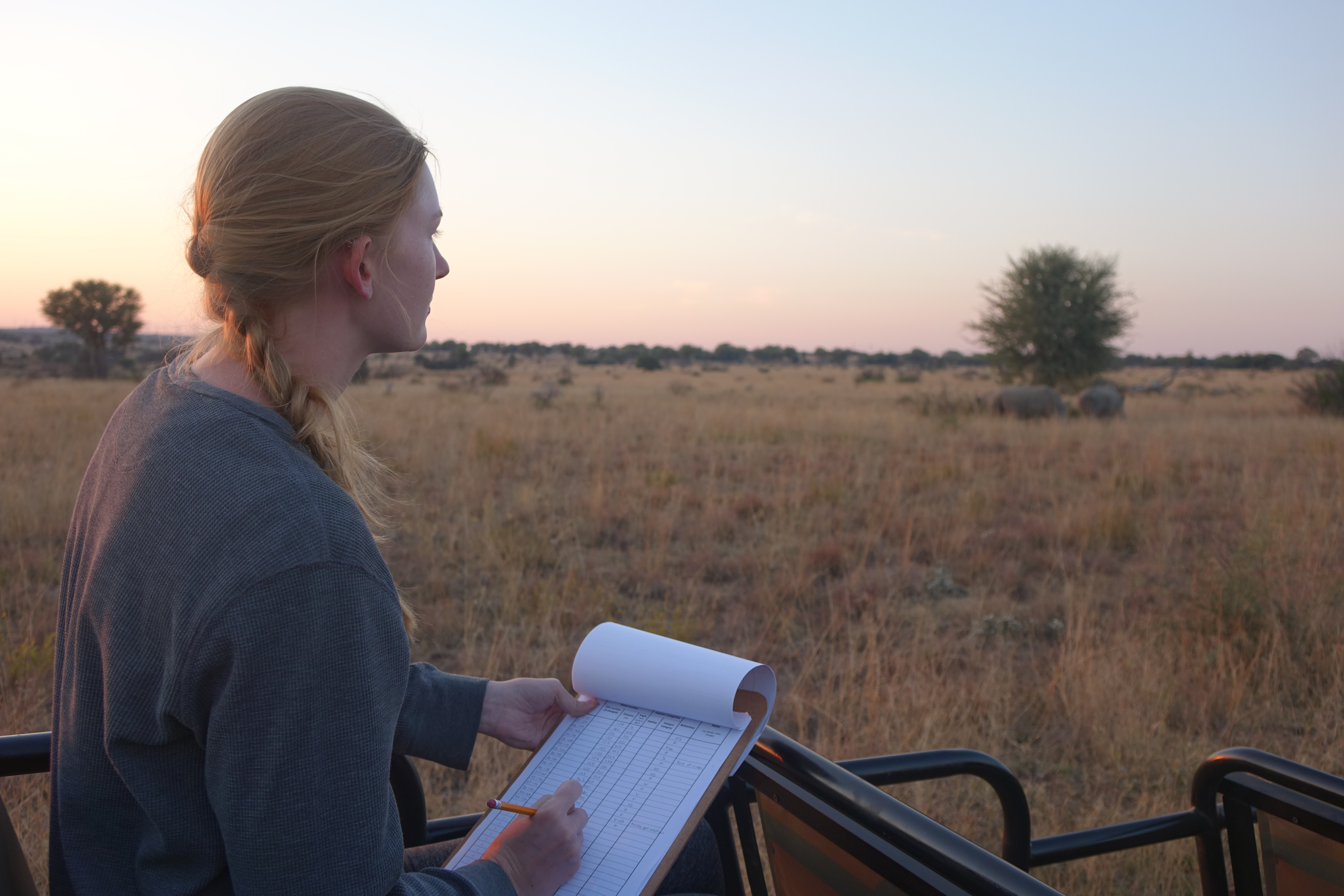 Ashley recording rhino observations.
