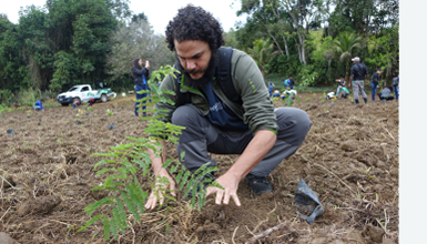 Earthwatch lead scientist Manoel Muanis plants a tree seedling from the expedition Wildlife and Reforestation in Brazil.