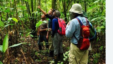 Volunteers trek through the rainforest during the expedition Amazon Riverboat Exploration. (Courtesy Kimberlyn Pinedo)