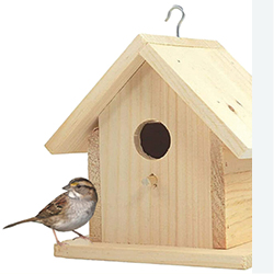 2. Build a birdhouse. 