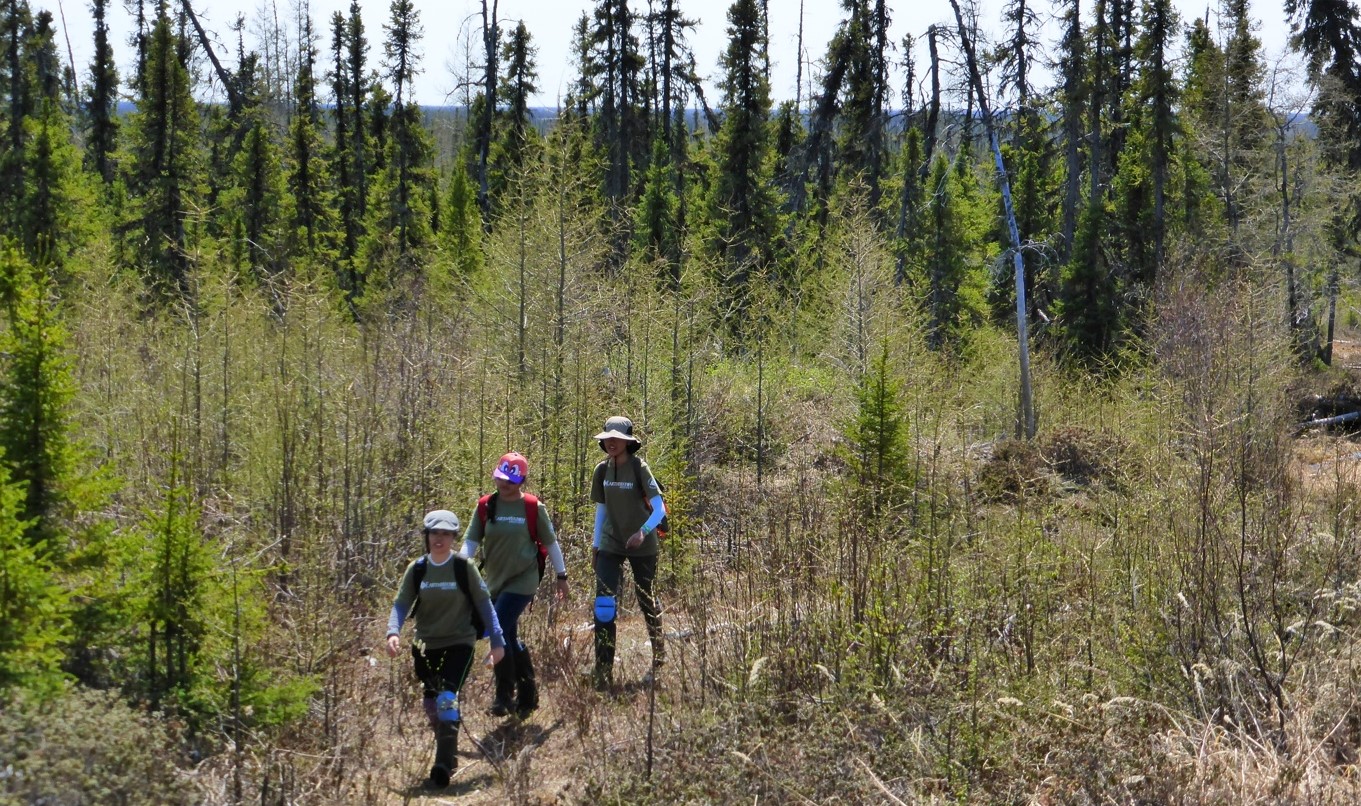 Volunteers trek the tundra to monitor permafrost.