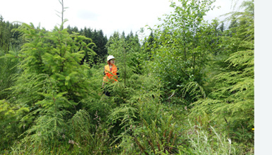 Lead scientist Teodora Minkova at one of the field sites on the expedition Bird Songs of the Olympic Peninsula.