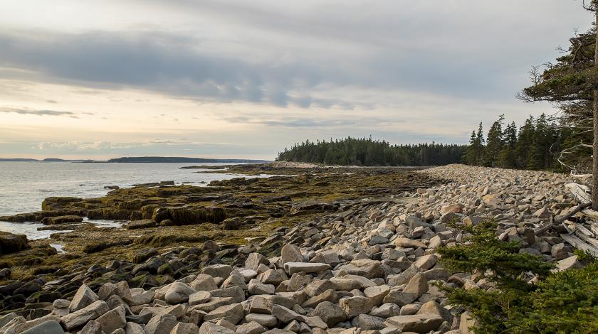 climate change at acadia national park