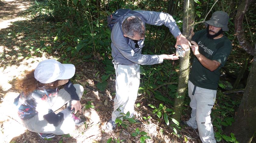volunteers survey forest in brazil