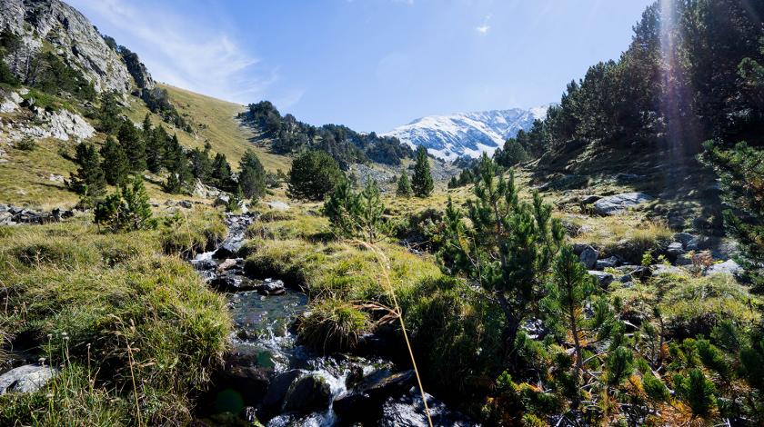 In the high slopes of the Andorran Pyrenees, as in other mountain regions, climate change has already begun to alter the landscape.