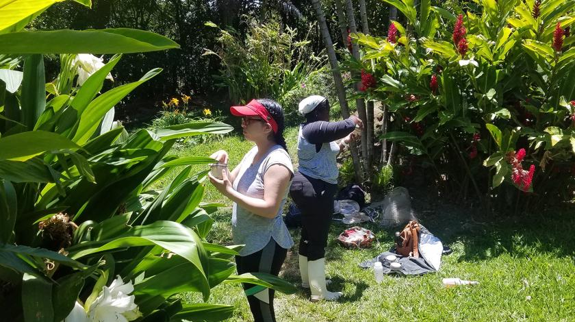 Earthwatch volunteers collect data (C) Blanca Gonzalez
