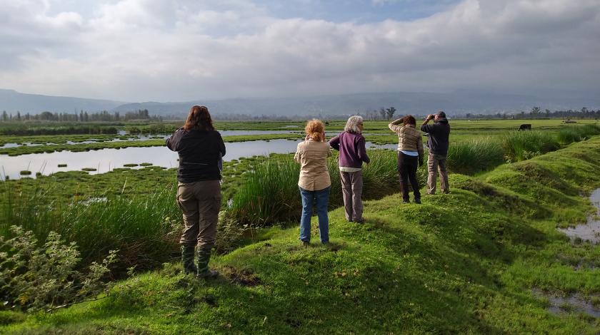 Earthwatch volunteers monitor a wetland (C) Elsa Valiente Riveros