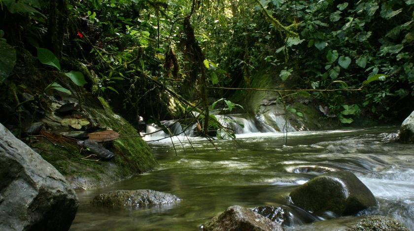 View of a river in the Ecuador field research location