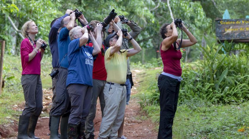 Earthwatch volunteers observe wildlife in the trees (C) Dr. Natalia Rossi