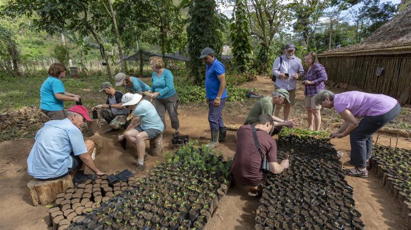 Earthwatch volunteers plant seedlings (C) Dr Natalia Rossi