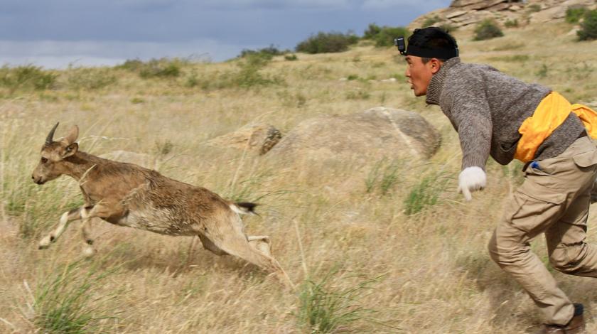 A small gazelle is released (C) Alix Morris