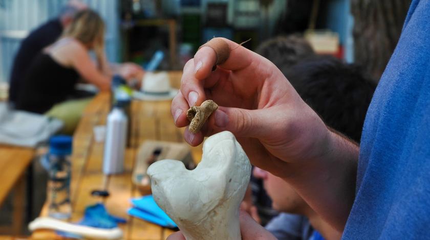 Earthwatch volunteers analyzing artifacts in Tuscany