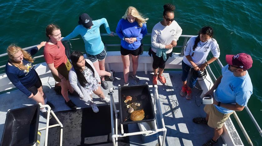 Aboard a ship, Earthwatch Girls in Science fellows will identify whales, dolphins, and seabirds; and deploy a hydrophone to record vocalizations