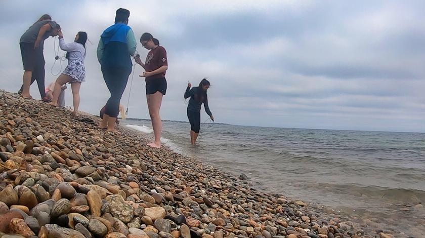 Earthwatch Girls in Science fellows will join researchers at Woods Hole Oceanographic Institution (WHOI), to investigate marine mammal mass strandings. 