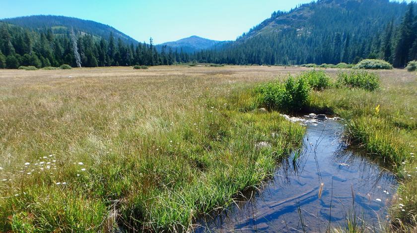 Earthwatch Expedition: Restoring Sierra Meadows: The Source of California’s Water