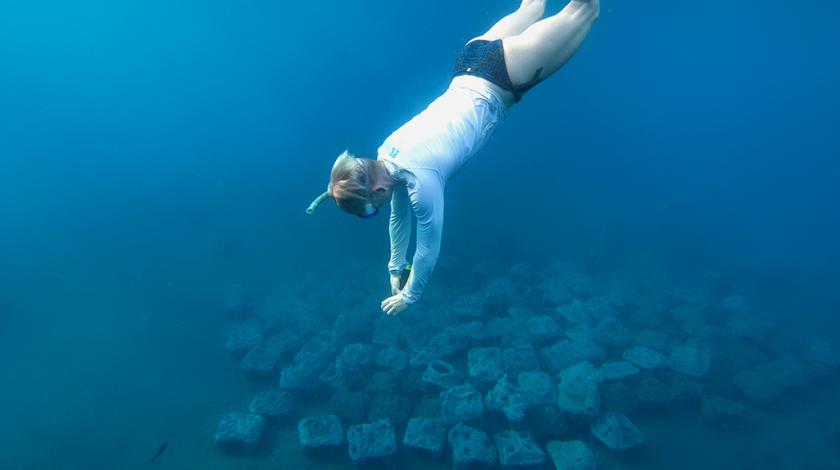 Help researchers investigate whether artificial reef structures can mimic natural coral communities, thereby preserving the biodiversity, ecosystem services, and human communities that rely on coral reefs. Earthwatch