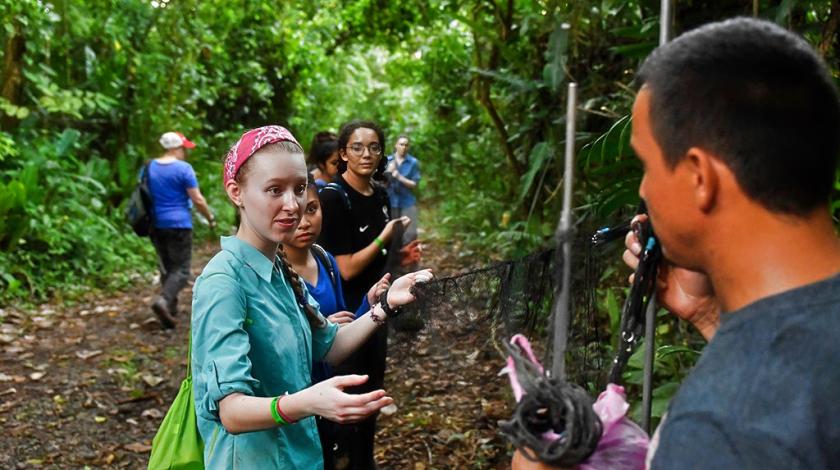 Volunteers discussing research in the jungle