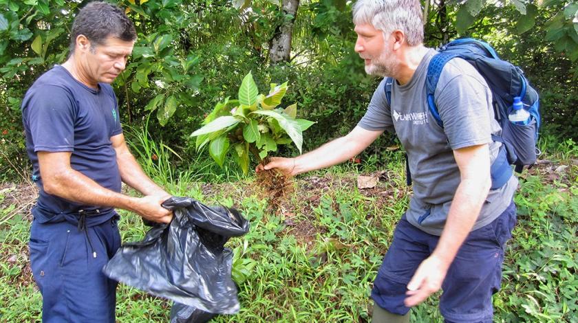 An Earthwatch volunteer collects a plant sample (C) Dana Salomon