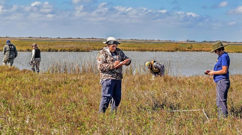 Participants sample a marsh using transects and other means to collect data on vegetation, blue crabs, as well as water salinity, depth, pH, and dissolved oxygen (C) TTipping