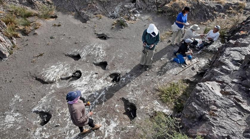 An aerial view of the penguin colony where participants will monitor nests (C) Chris Linder