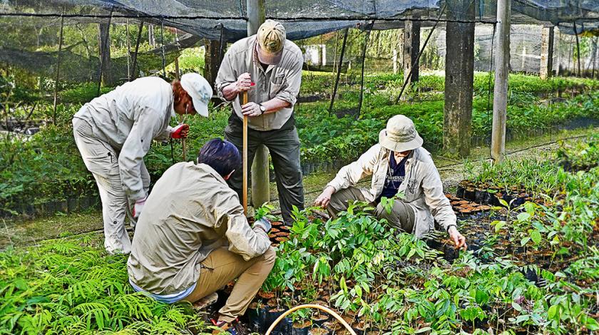 Earthwatch participants organize the nursery by plant species (C) Mary Rowe