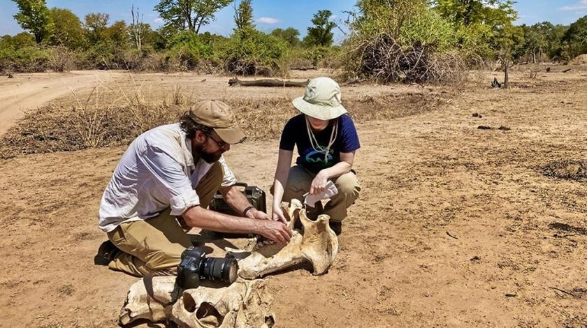 A researcher analyzing bones with the help of an Earthwatch participant 