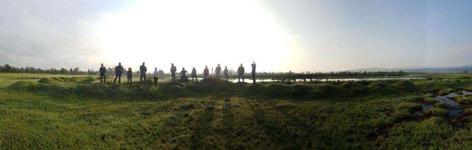 EY-Earthwatch Ambassadors on the Xochimilco wetlands.