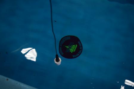 A hydrophone in the test tank. (Courtesy WHOI)