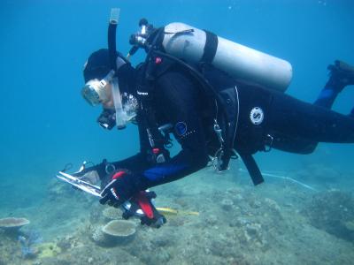 Earthwatch volunteer diver collects data on coral