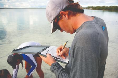 Tracking Sea Turtles in the Bahamas 