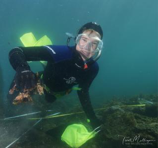Volunteer diver measures corals