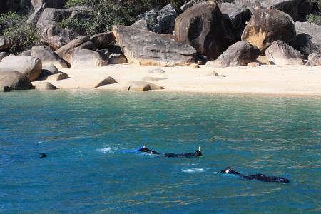 snorkeling in australia