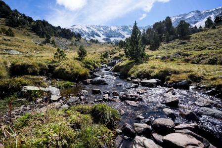 pyrenees mountain stream