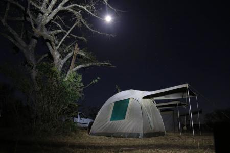 tent under the night sky