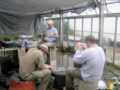 volunteers at the research station