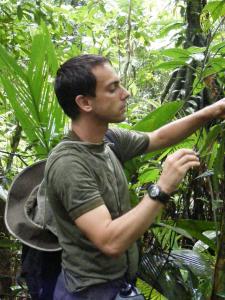 volunteer looking for caterpillars in costa rican forest