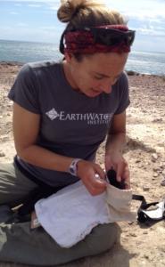 earthwatch volunteer in patagonia