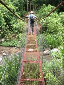 earthwatch volunteers cross a rope bridge in costa rica