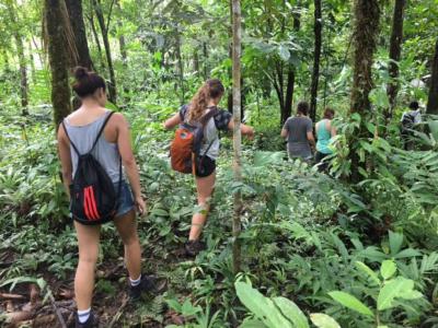 earthwatch volunteers hike through the forest