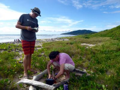 volunteers survey the beach