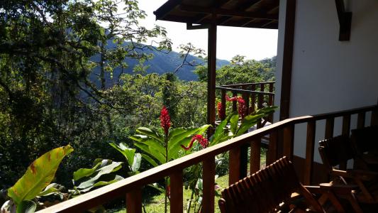 accommodations - view from the porch in costa rica