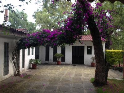 earthwatch accommodations outside mexico city