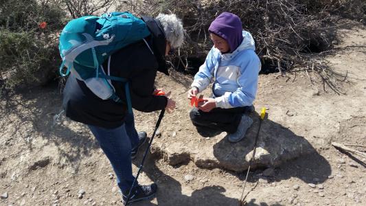 earthwatch volunteers study penguin colony in patagonia