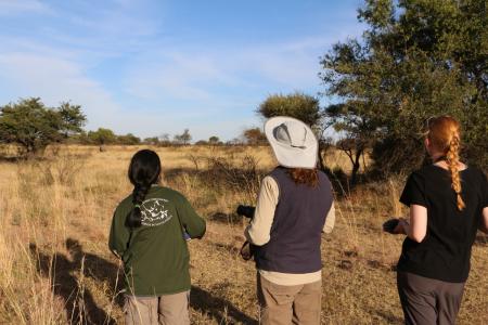 Earthwatch volunteers on foot observe a rhino in the distance (C) Melissa & Blake